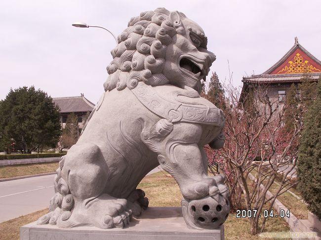 上海石狮雕刻