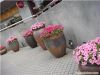 盆栽草花公司