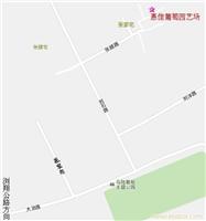 惠佳马陆葡萄详细地址