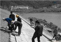 上海建筑结构加固公司-上海建筑结构加固公司