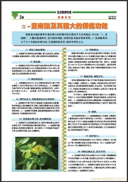 企业报纸印刷-上海企业报纸印刷