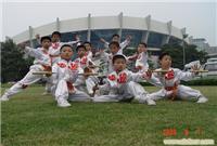 上海学武术
