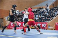 上海武术散打比赛