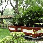 上海到杭州乌镇苏州三日游500元/上海出发杭州乌镇苏州三日游500元/上海去杭州乌镇苏州三日游500元/上海至杭