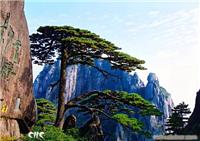 黄山汽车品质二日（纯黄山）