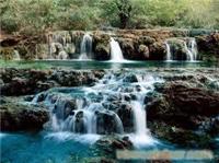 三清山  八卦村  建德千岛湖  龙舟漂流   特色三日【31】D
