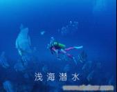 B线 三亚进出：百分百逍遥自在半自助游(2人成行)