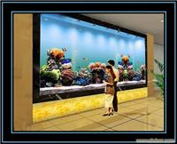 壁挂式鱼缸制作