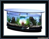 上海生态茶几鱼缸专卖