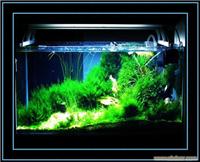 上海大型海水缸设计