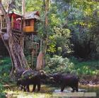 昆明、丽江、香格里拉双飞双卧六日游 黄金周旅游特惠