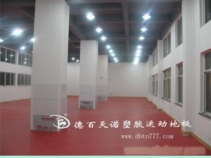 广东PVC塑胶地板、塑胶地板