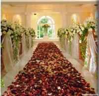 石家庄教堂婚礼 