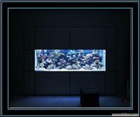 上海哪有订做大型鱼缸