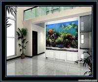 上海专业鱼缸护理