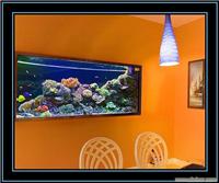 上海家居观赏水族设计施工