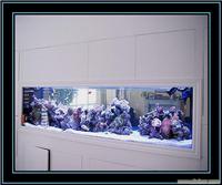 鱼缸制作_亚克力鱼缸制作