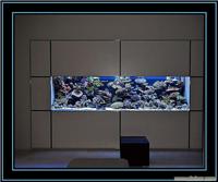 上海大型鱼缸制造工程公司