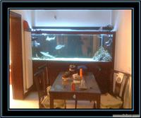 亚克力玻璃鱼缸景观工程