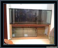 大型观赏鱼缸制作