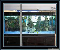 上海水族景观规划设计