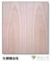 上海红樱桃(花) 