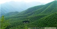 30号线：  安吉  竹海  双溪漂流  二 日 A