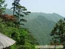 28号线：   西天目山  柳溪江漂流  二日  休闲  之旅A