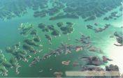 【3号线】A：千岛湖中心湖区、垂云通天河、瑶琳森林公园休闲二日     C