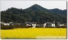 21C线：    衢州三清山景德镇婺源四日游     788元/人C