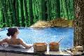 【29】 溧阳天目湖   御水温泉  南山竹海     超值二日