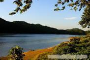 【14号线】A：西天目山、青山湖、神龙川 超值  二日        c