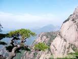 【37】 黄山五星醉温泉   生态天目山    休闲养身二日 D