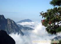 A线 黄山 西递 新安江山水画廊 醉温泉 宋城老街  汽车三日游