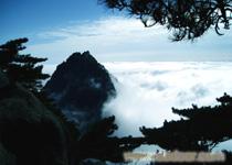 C线 黄山 西递 新安江山水画廊 醉温泉 宋城老街  纯玩汽车三日游