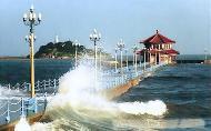 【12号线】A: 连云港花果山、连岛海滨、盐城大纵湖 品质三日游C