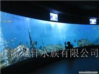 鱼缸/水族