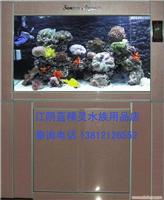 观赏鱼缸
