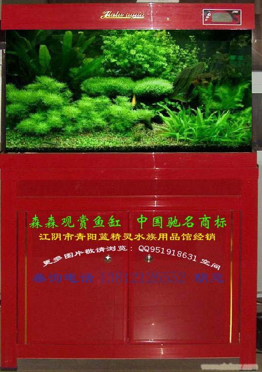 观赏鱼缸