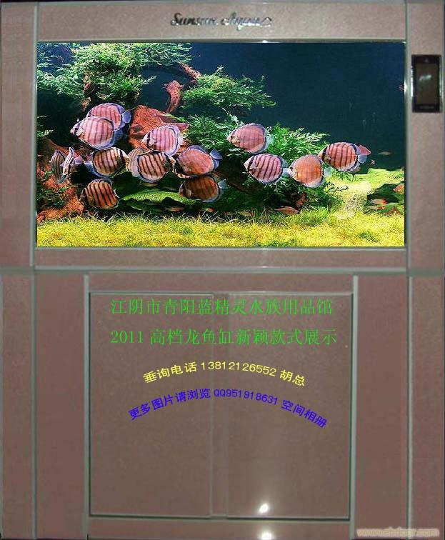 观赏鱼缸