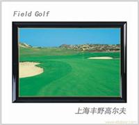 高尔夫球场装饰画 