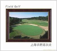 高尔夫画 