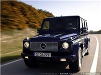 奔驰G级(进口) G 500