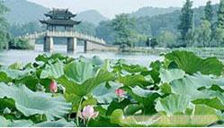 24．杭州千岛湖苏州三日游