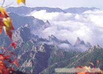 首尔+雪岳山+东海岸5日赏枫观海之旅