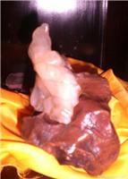盼子回家�
