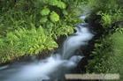 【2号线】  汤山东湖露天温泉、秦淮河、中山陵四星二日游C
