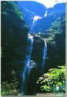 11月常规A线婺源、龙虎山、龟峰399元