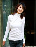 2010秋冬新款超人气高品质白搭高领打底衫
