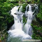 【23号线】安吉藏龙百瀑、浙北大峡谷、竹博园熊猫嘉年华 二日游C